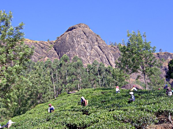 India - Image 9