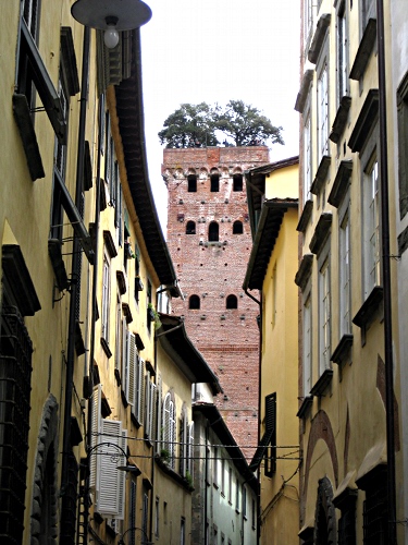 Pisa, Lucca - Image 10