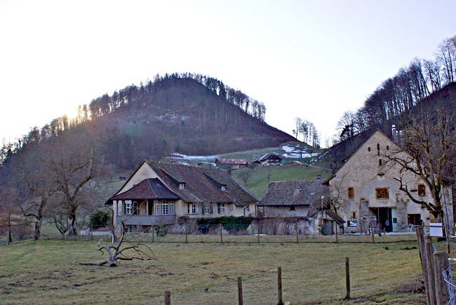 Schoenthal in January - Image 1