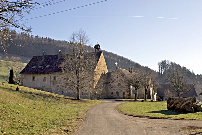 Schoenthal in January - Image 2