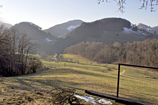 Schoenthal in January - Image 12
