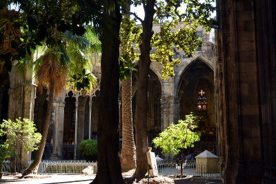 Barcelona - in the cloister of the cathedral