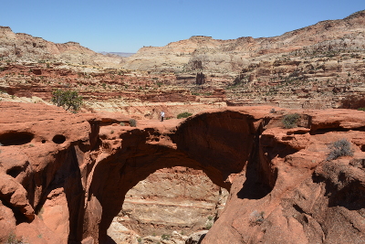 Capitol Reef - on top of Cassidy Arch