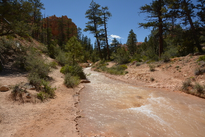 Bryce Canyon - Tropic Ditch Canal